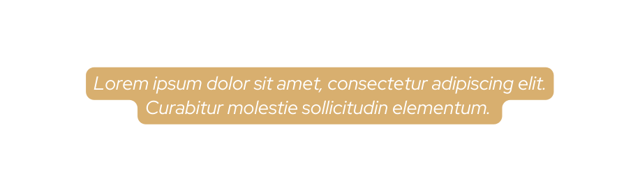 Lorem ipsum dolor sit amet consectetur adipiscing elit Curabitur molestie sollicitudin elementum
