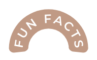FUN FACTS