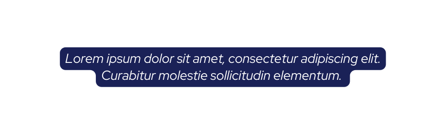 Lorem ipsum dolor sit amet consectetur adipiscing elit Curabitur molestie sollicitudin elementum