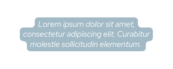 Lorem ipsum dolor sit amet consectetur adipiscing elit Curabitur molestie sollicitudin elementum