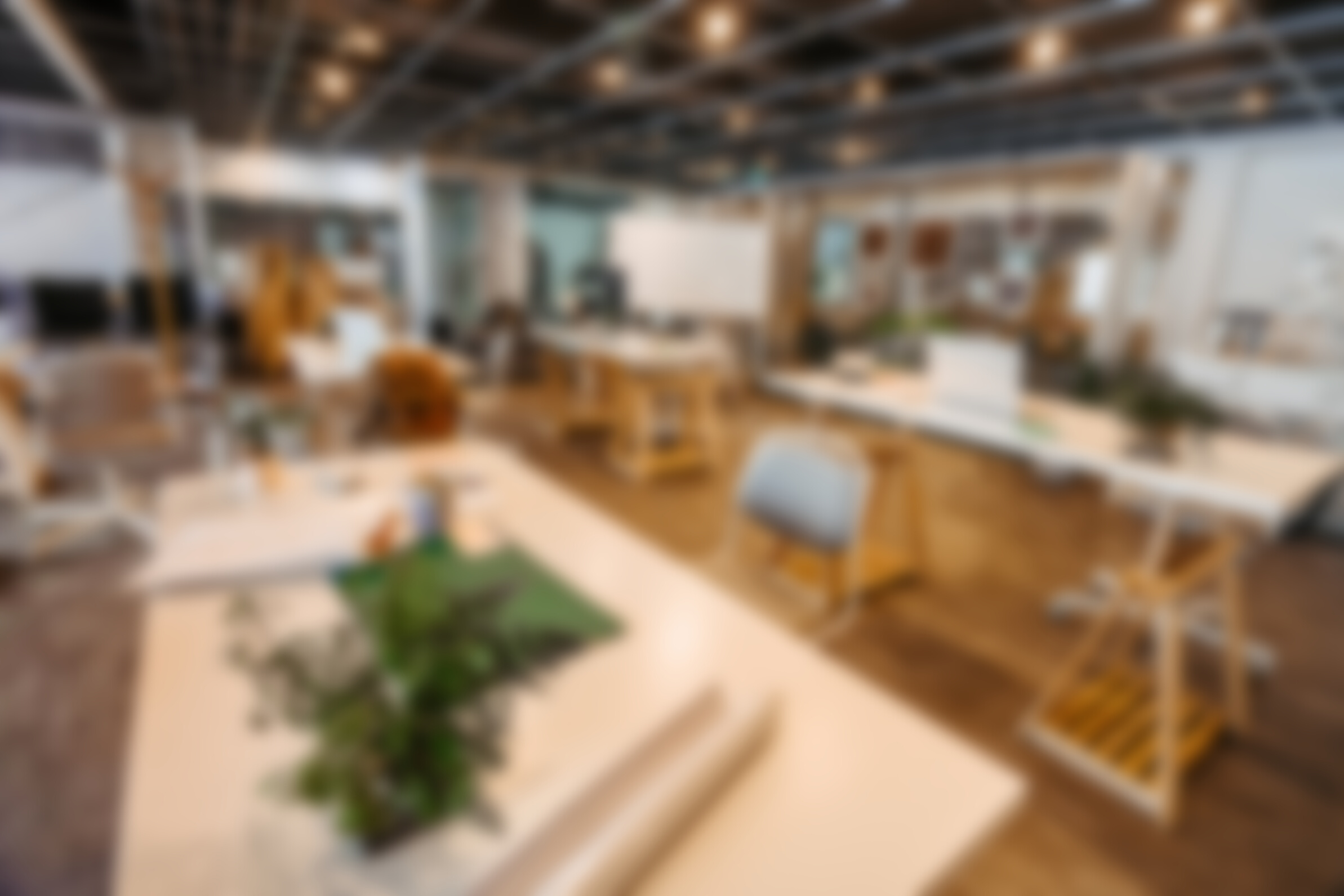 Cozy office space