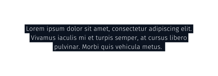Lorem ipsum dolor sit amet consectetur adipiscing elit Vivamus iaculis mi et turpis semper at cursus libero pulvinar Morbi quis vehicula metus